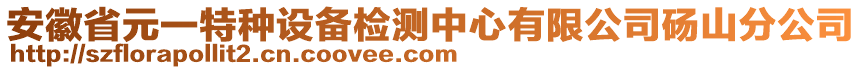 安徽省元一特種設(shè)備檢測中心有限公司碭山分公司