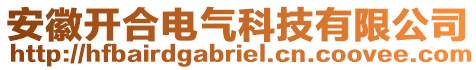 安徽開(kāi)合電氣科技有限公司