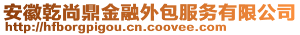 安徽乾尚鼎金融外包服務(wù)有限公司