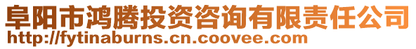 阜陽(yáng)市鴻騰投資咨詢有限責(zé)任公司