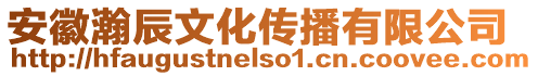 安徽瀚辰文化传播有限公司