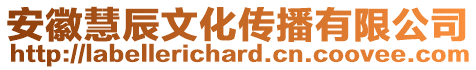 安徽慧辰文化傳播有限公司