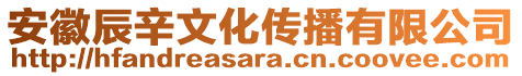 安徽辰辛文化传播有限公司