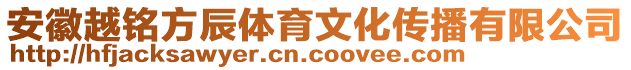 安徽越銘方辰體育文化傳播有限公司