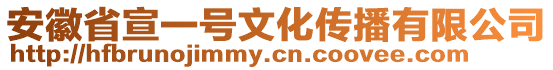 安徽省宣一號文化傳播有限公司