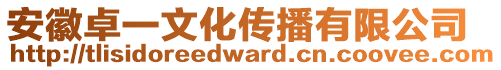 安徽卓一文化傳播有限公司