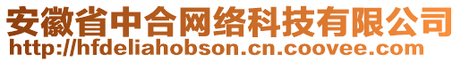 安徽省中合網(wǎng)絡(luò)科技有限公司