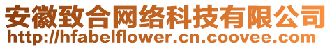 安徽致合網(wǎng)絡(luò)科技有限公司