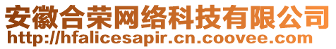 安徽合榮網(wǎng)絡(luò)科技有限公司