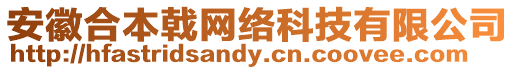 安徽合本戟网络科技有限公司