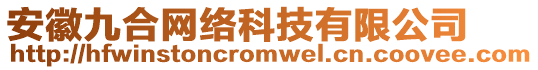 安徽九合網(wǎng)絡(luò)科技有限公司