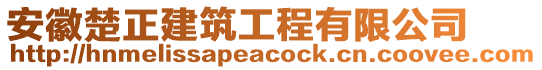 安徽楚正建筑工程有限公司