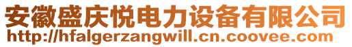 安徽盛慶悅電力設備有限公司