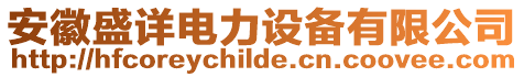 安徽盛詳電力設備有限公司