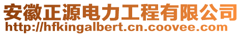 安徽正源電力工程有限公司