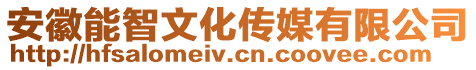 安徽能智文化傳媒有限公司