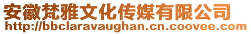 安徽梵雅文化傳媒有限公司