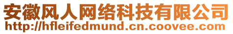 安徽風(fēng)人網(wǎng)絡(luò)科技有限公司