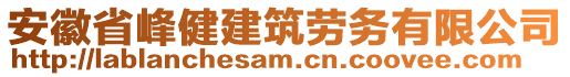 安徽省峰健建筑勞務(wù)有限公司