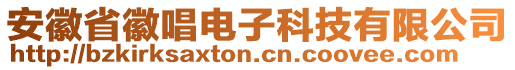 安徽省徽唱電子科技有限公司