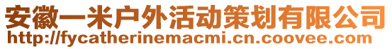 安徽一米戶外活動策劃有限公司