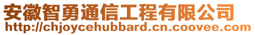 安徽智勇通信工程有限公司