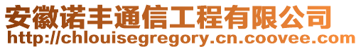 安徽諾豐通信工程有限公司