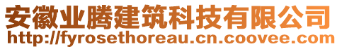 安徽業(yè)騰建筑科技有限公司