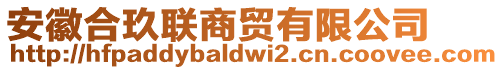 安徽合玖聯(lián)商貿(mào)有限公司