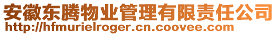 安徽東騰物業(yè)管理有限責任公司