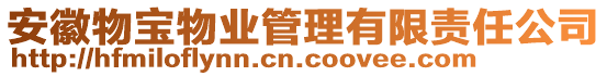 安徽物寶物業(yè)管理有限責(zé)任公司