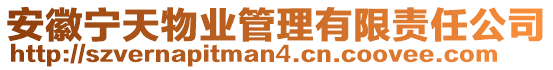 安徽寧天物業(yè)管理有限責(zé)任公司