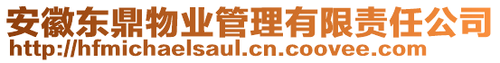 安徽東鼎物業(yè)管理有限責(zé)任公司