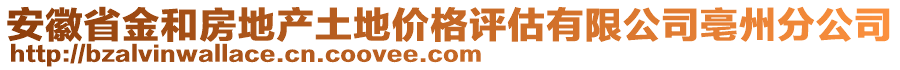 安徽省金和房地產(chǎn)土地價(jià)格評(píng)估有限公司亳州分公司