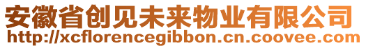 安徽省创见未来物业有限公司