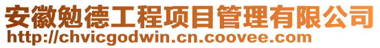 安徽勉德工程項目管理有限公司