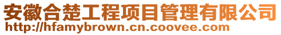 安徽合楚工程項目管理有限公司