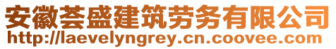 安徽荟盛建筑劳务有限公司