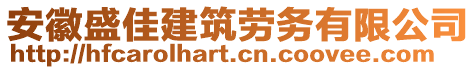 安徽盛佳建筑勞務(wù)有限公司