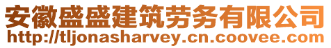 安徽盛盛建筑勞務有限公司