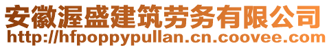 安徽渥盛建筑劳务有限公司