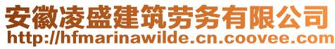 安徽凌盛建筑勞務(wù)有限公司