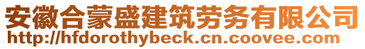 安徽合蒙盛建筑劳务有限公司