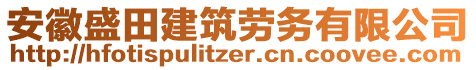 安徽盛田建筑勞務(wù)有限公司