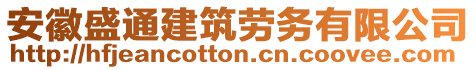 安徽盛通建筑勞務(wù)有限公司