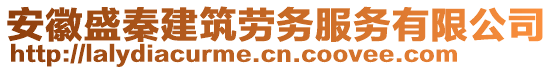 安徽盛秦建筑劳务服务有限公司