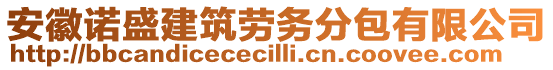 安徽諾盛建筑勞務(wù)分包有限公司