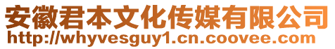 安徽君本文化傳媒有限公司