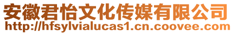 安徽君怡文化傳媒有限公司