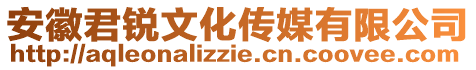 安徽君锐文化传媒有限公司